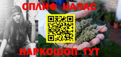 spice Славгород