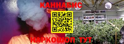 spice Славгород